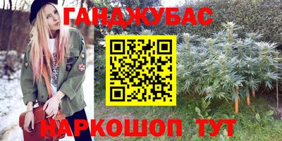 гидра Рязань