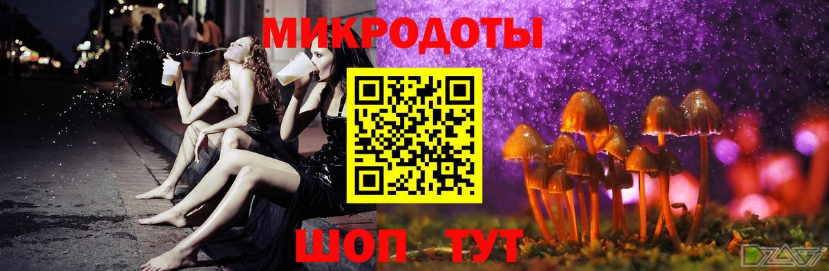 Черняховск  Псилоцибиновые грибы Psilocybine cubensis  Псилоцибиновые грибы Magic Shrooms  Вход с VPN 