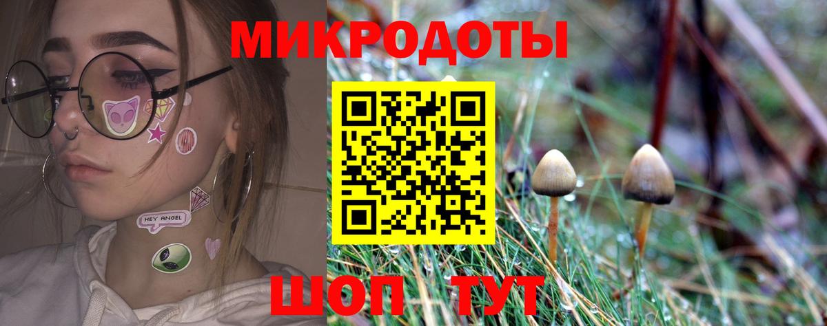 Псилоцибиновые грибы Cubensis Черняховск