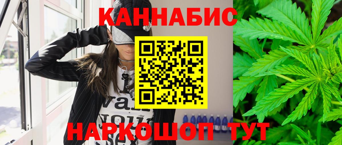 Бошки Шишки планчик Черняховск